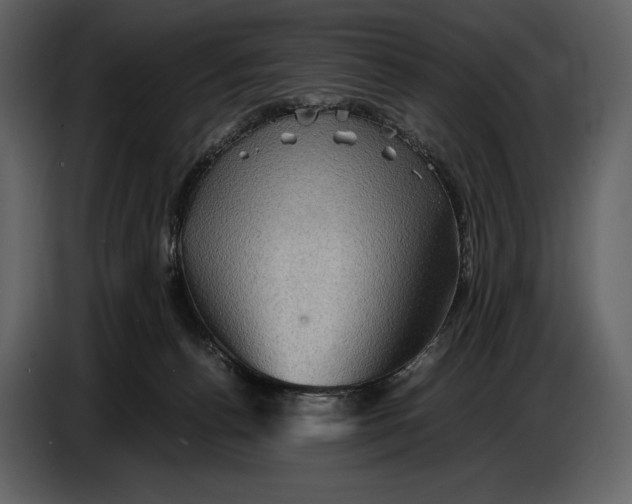 X0000087010176200705071533