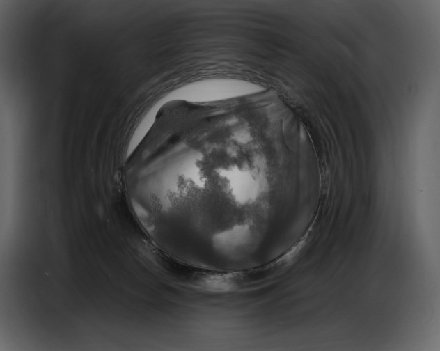 X0000087010178200705071533