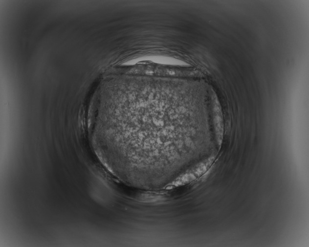 X0000087010179200705071533