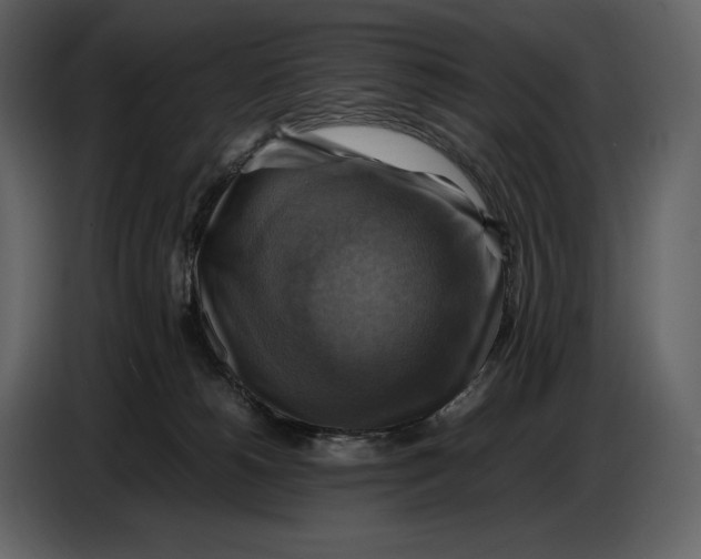 X0000087010180200705071533