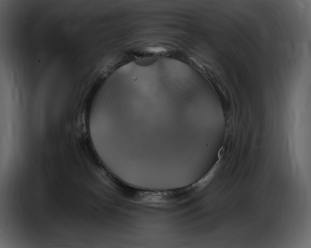 X0000087010182200705071533