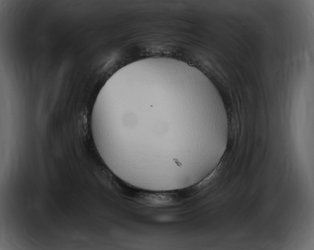 X0000087010183200705071533