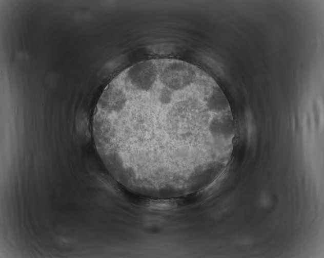 X0000087010187200705071533