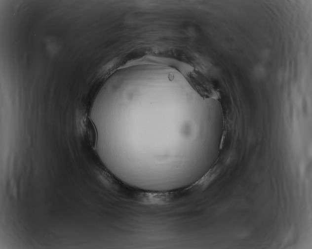 X0000087010188200705071533