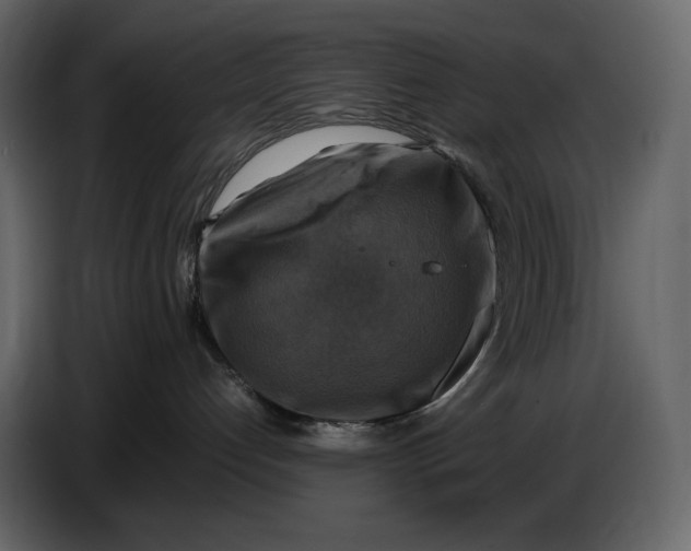 X0000087010192200705071533