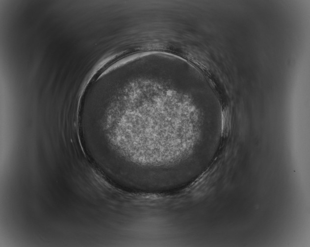 X0000087010195200705071533