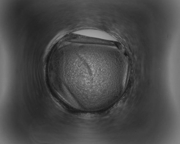 X0000087010197200705071532