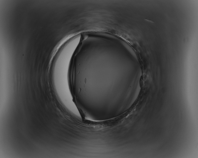 X0000087010200200705071532