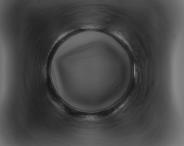 X0000087010204200705071532