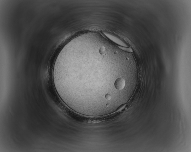 X0000087010208200705071532