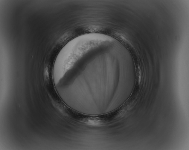 X0000087010214200705071532