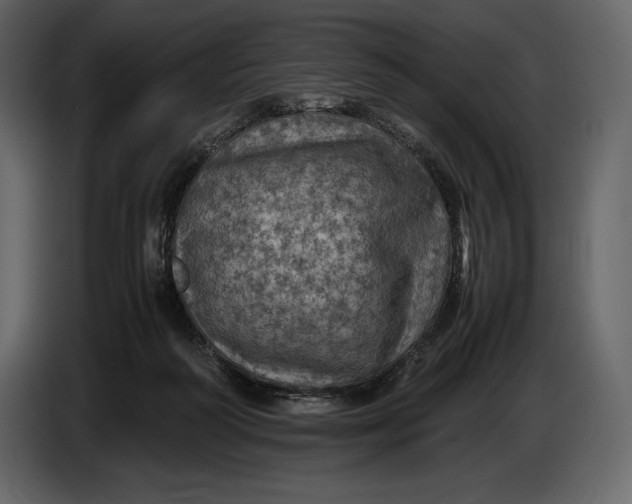 X0000087010218200705071532