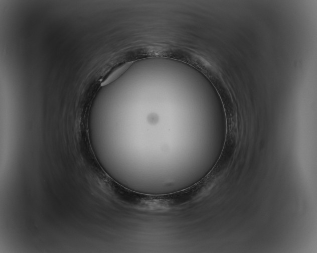 X0000087010221200705071532