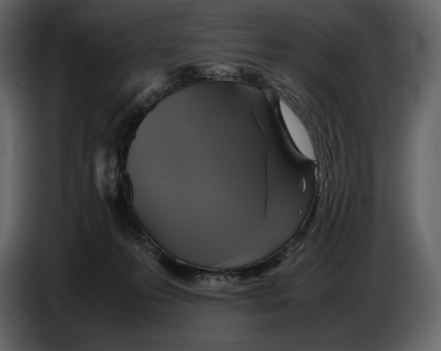 X0000087010223200705071532