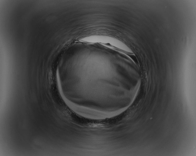 X0000087010224200705071532