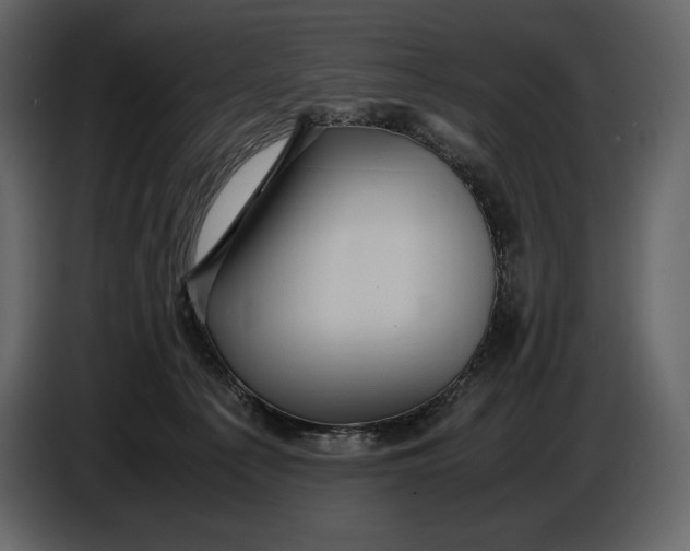 X0000087010225200705071532