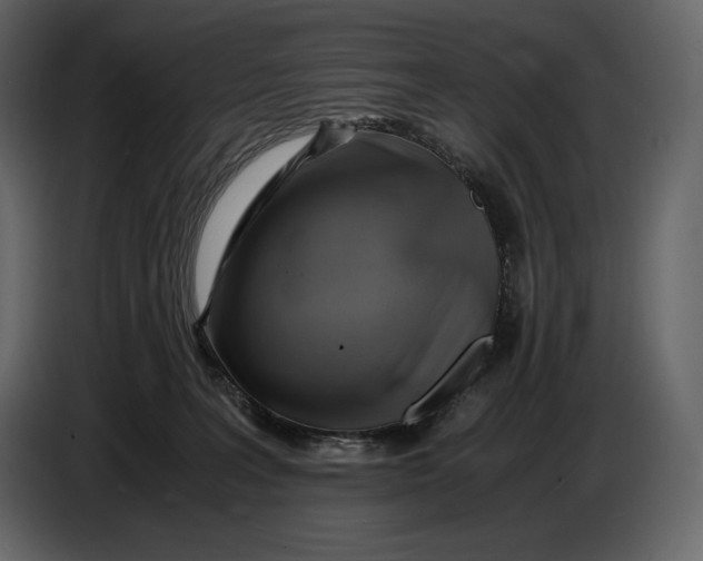 X0000087010227200705071532