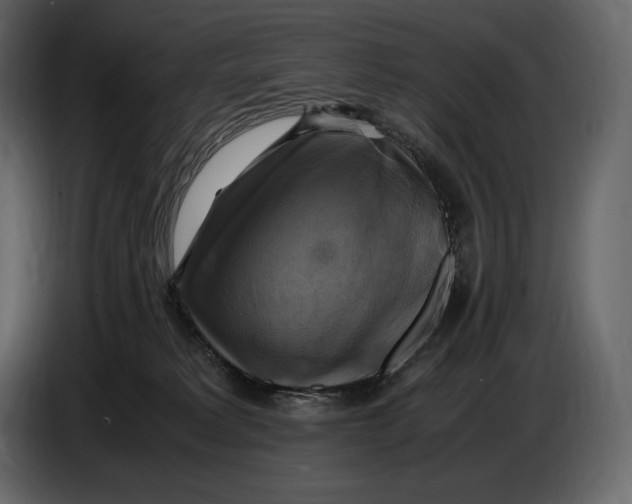 X0000087010229200705071532