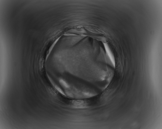 X0000087010230200705071532