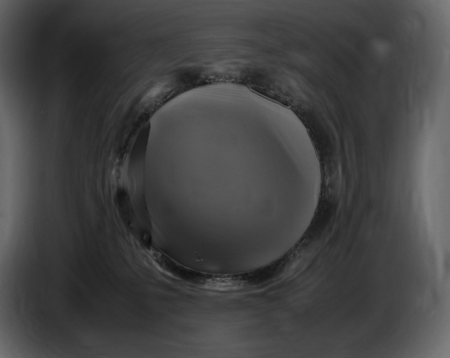 X0000087010231200705071532