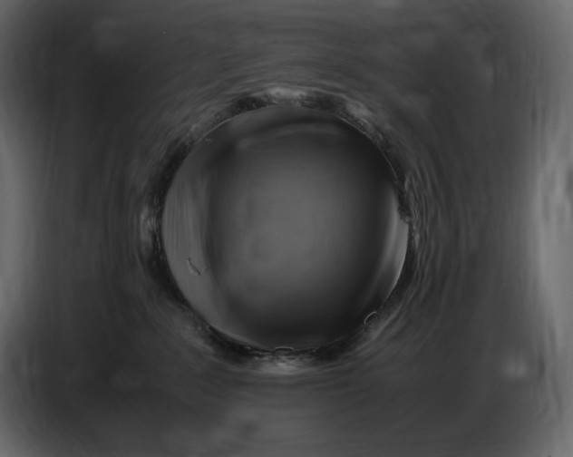 X0000087010235200705071532