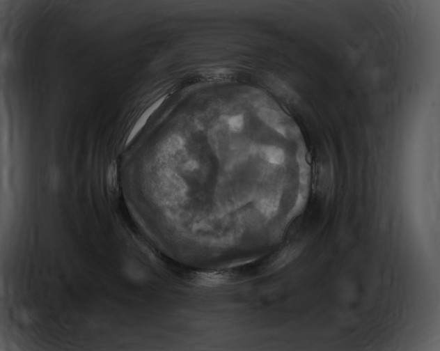 X0000087010238200705071532