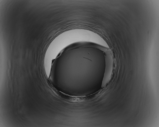 X0000087010239200705071532