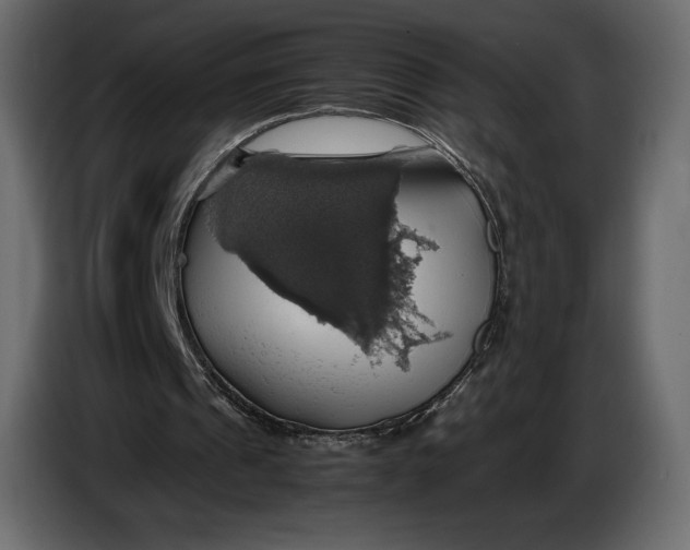 X0000087010241200705071531