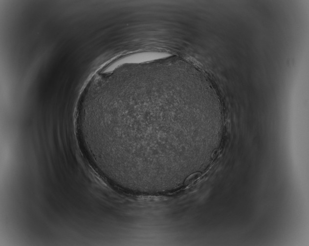 X0000087010242200705071531