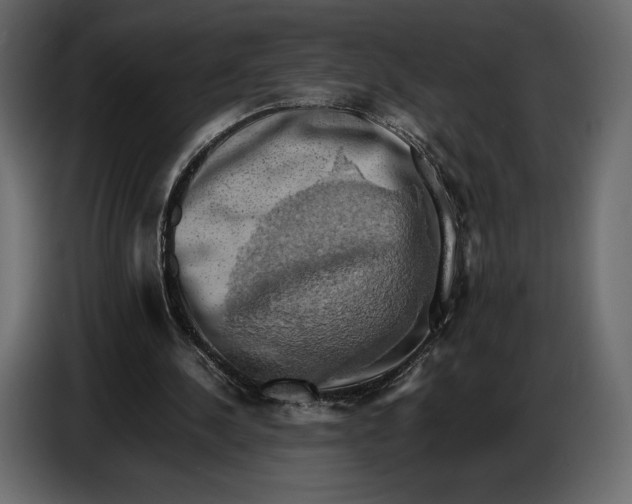 X0000087010244200705071531