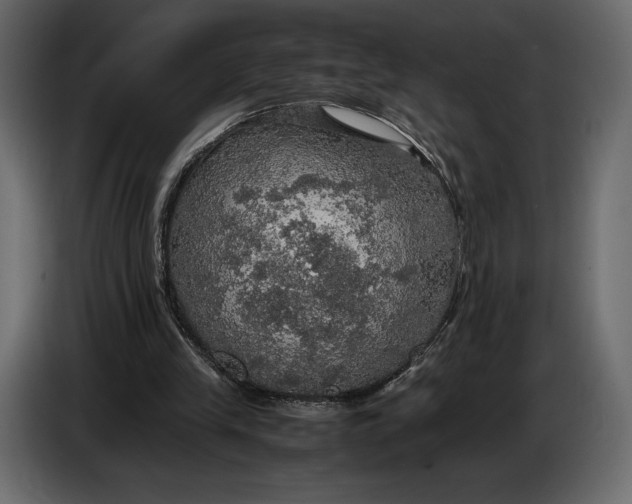 X0000087010245200705071531