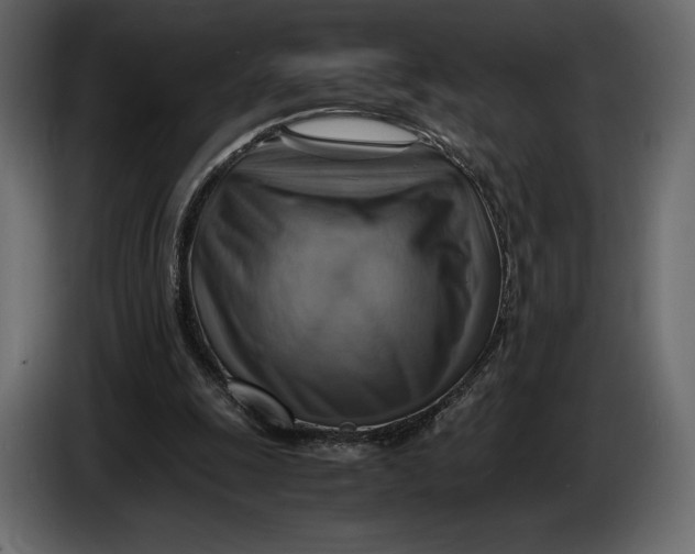 X0000087010247200705071531