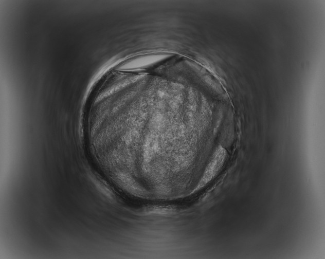 X0000087010248200705071531