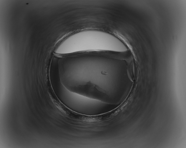 X0000087010249200705071531