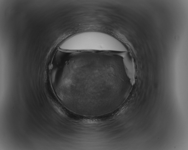 X0000087010250200705071531