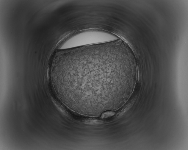 X0000087010253200705071531