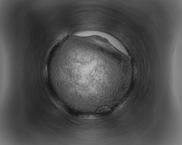 X0000087010254200705071531