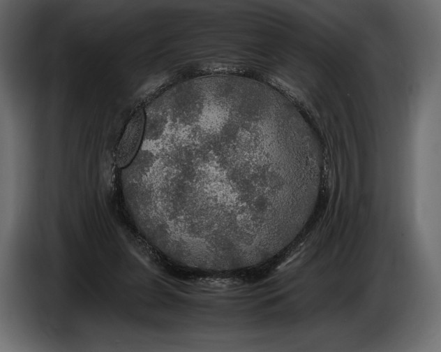 X0000087010255200705071531