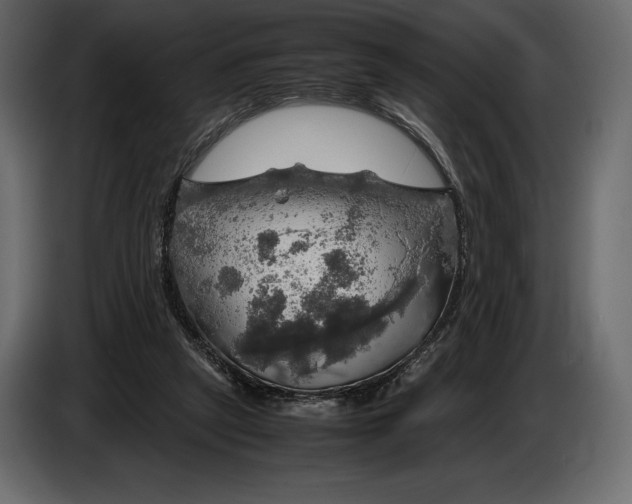 X0000087010257200705071532