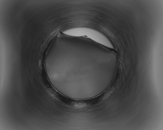 X0000087010258200705071532