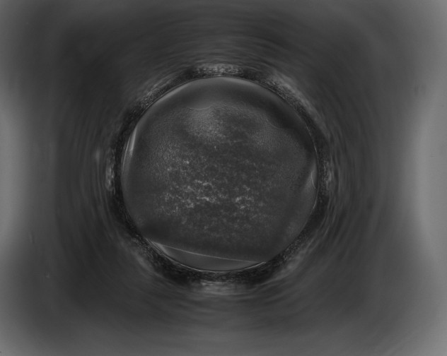 X0000087010259200705071532