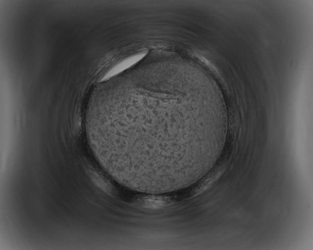 X0000087010261200705071532