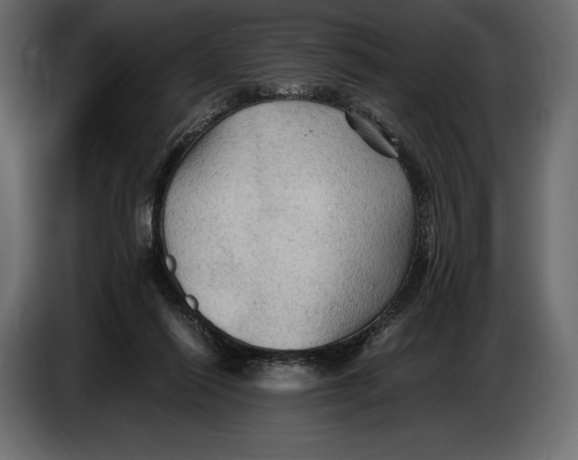 X0000087010262200705071532