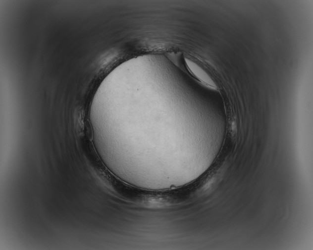 X0000087010264200705071532