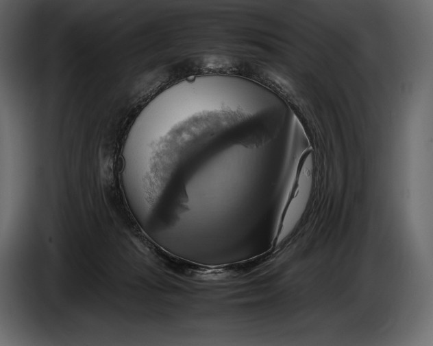 X0000087010269200705071532