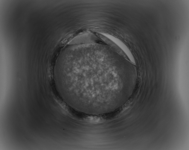 X0000087010272200705071532