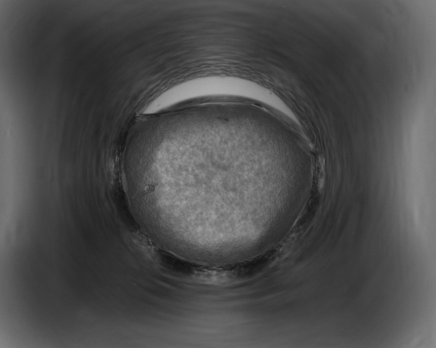 X0000087010276200705071532