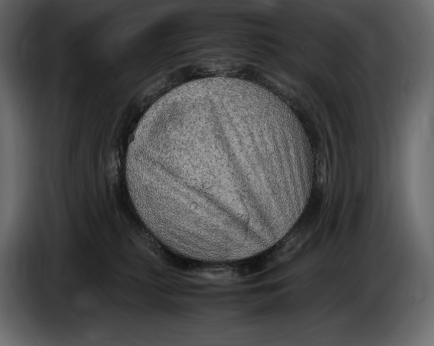 X0000087010279200705071532