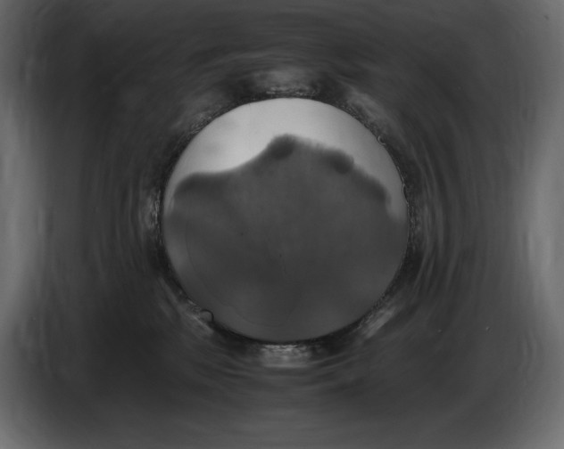 X0000087010281200705071532