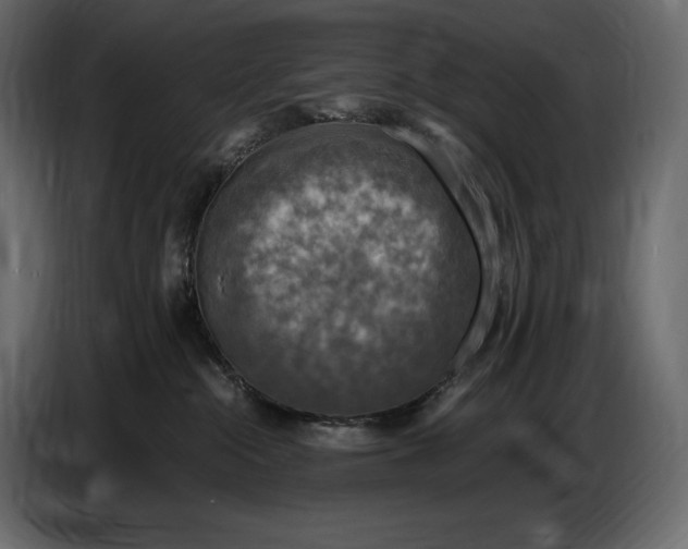 X0000087010284200705071532